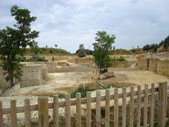 149 BIO PARC DE DOUE LA FONTAINE 4- 2016_000009